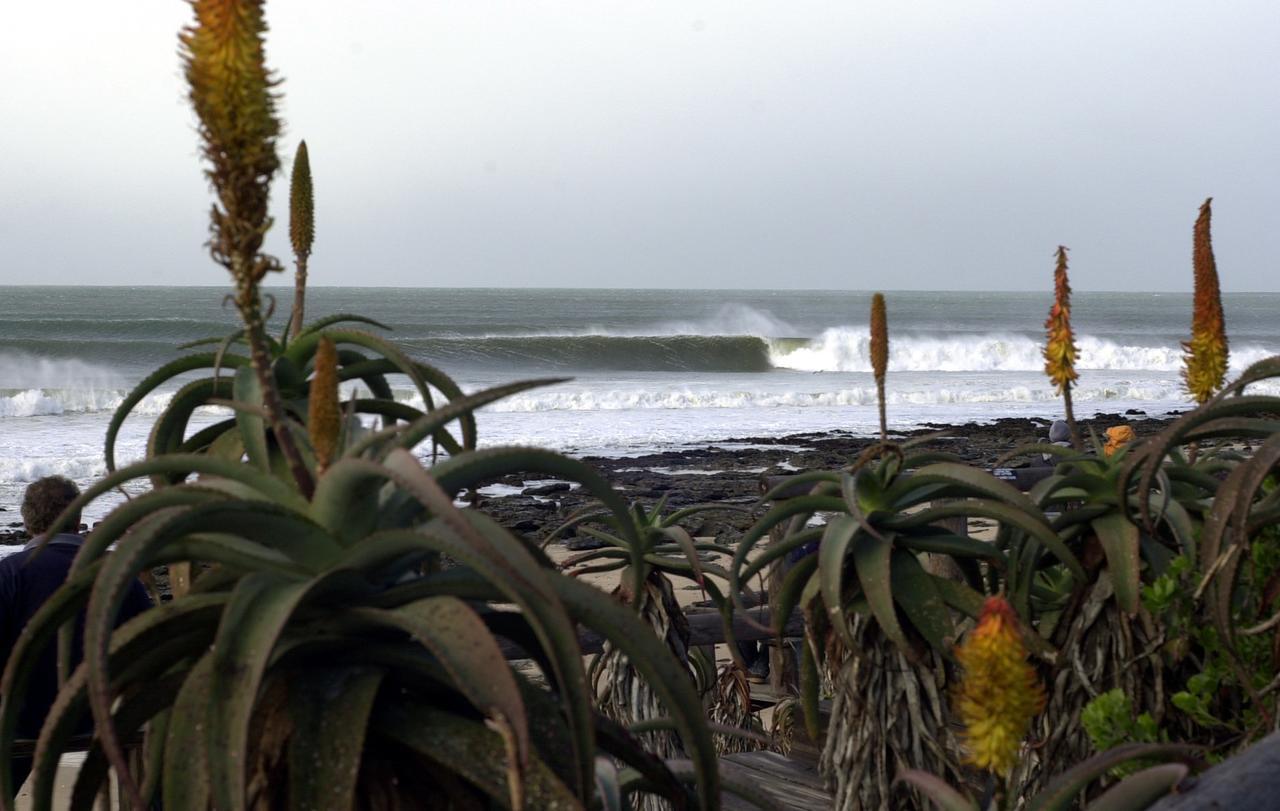 Jbay Surf View @ Point Appartamento Jeffreys Bay Esterno foto